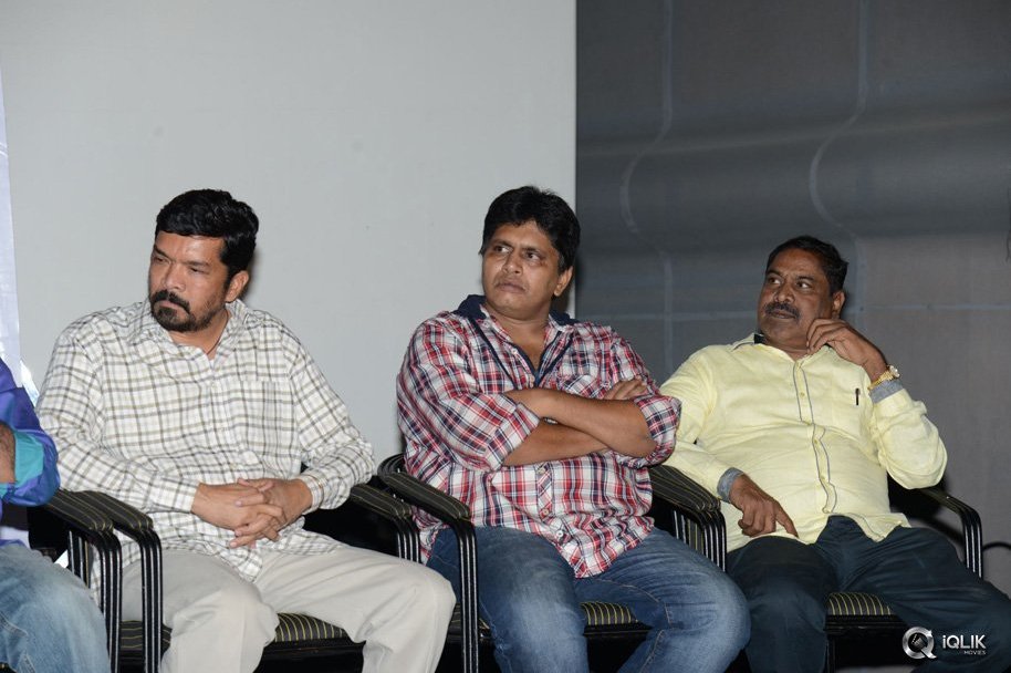 Dhee-Ante-Dhee-Movie-Platinum-Disc-Function